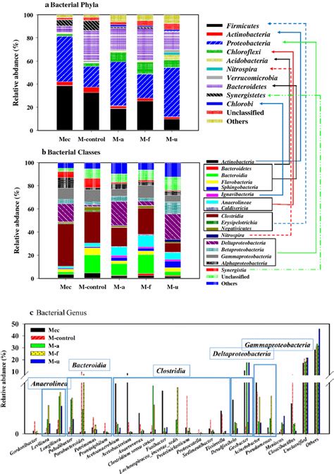 Taxonomic Classification Of 16S RRNA Gene Sequences Of Bacterial