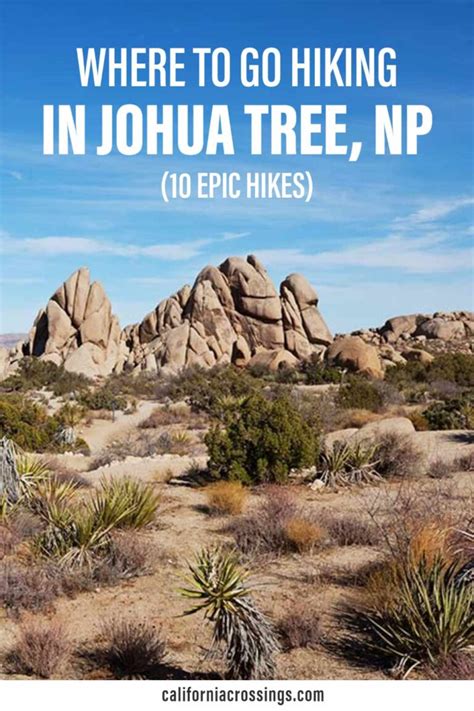 The 13 Best Hikes In Joshua Tree National Park