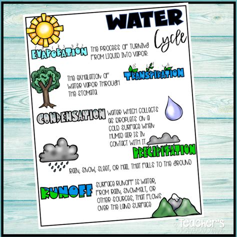 2nd Grade Water Cycle Lesson