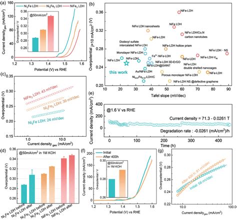 Electrochemical Behavior Of The NiFe LDH Catalysts A Polarization