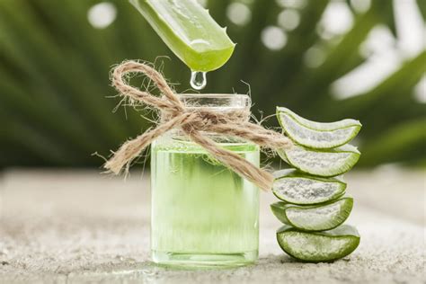 Huile D Aloe Vera Propri T S Avantages Et Utilisations