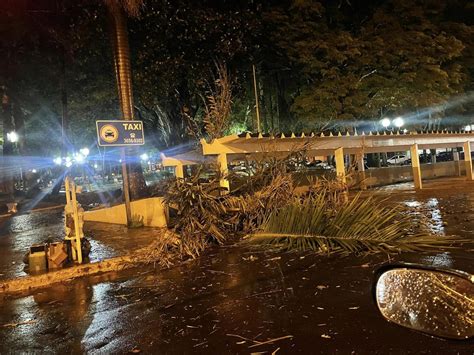 Chuva Forte Causa Queda De Rvores E Transtornos Em S O Carlos Mococa