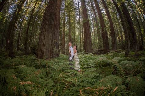 Cory And Oakley S Magical Avenue Of The Giants Elopement Parky S Pics