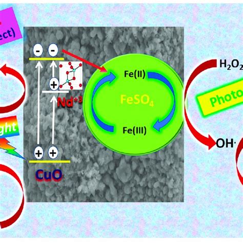 Scheme A Suggested Mechanism For The Photocatalysis By Nd O