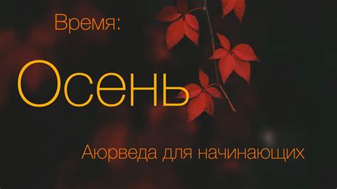 Осень. Аюрведа для начинающих - YouTube