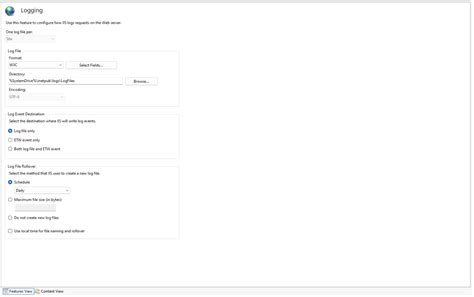 Windows Logging Guide Iis And Sql Server Logging Crowdstrike