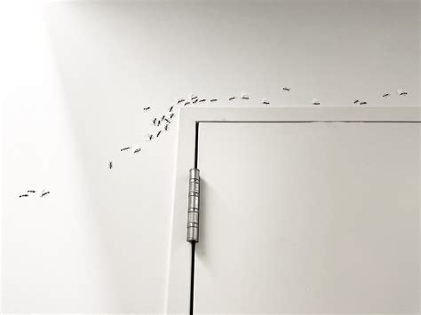 THE DRAWING CENTER - INSTALL SHOTS — Catherine Chalmers