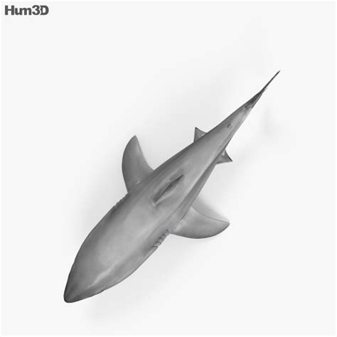 Animated Great White Shark 3D model - Download Fish on 3DModels.org