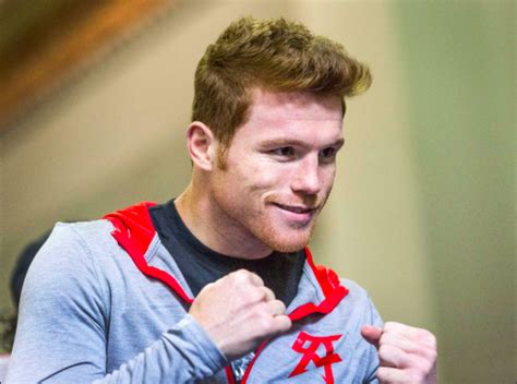 Canelo Alvarez gives Hair follicle sample to prove he wasn't using ...