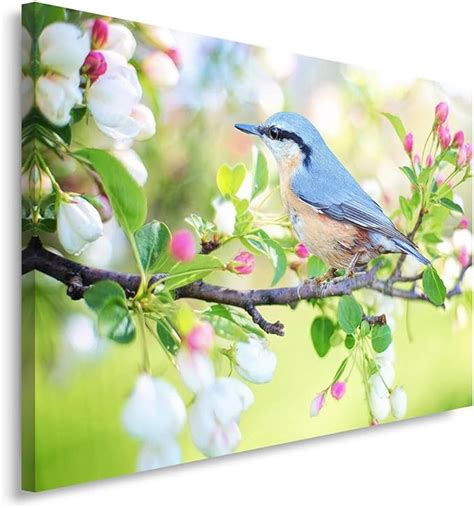 Feeby Impression Sur Toile Oiseau X Cm Pi Ces Tableaux Tableau