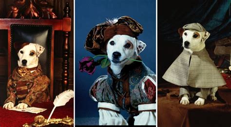 The Story Of Soccer The Dog Actor That Played Wishbone Celebrity Pets