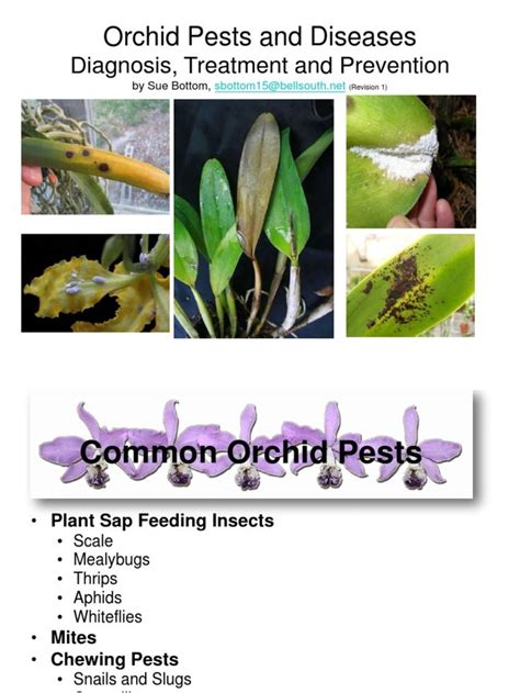 A Pictorial Presentation Of Current Orchid Pest And Disease Problems