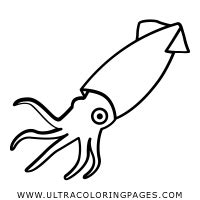 Dibujo De Calamar Para Colorear Ultra Coloring Pages