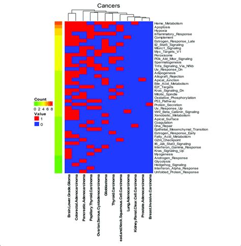 Enriched Gsea Hallmark Gene Sets Of All The Biomarker Gene Sets Of