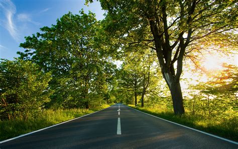 Wallpaper Sunlight Trees Landscape Nature Grass Plants Road