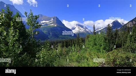 Mountains Forests Glacier National Park Montana Stock Photo Alamy