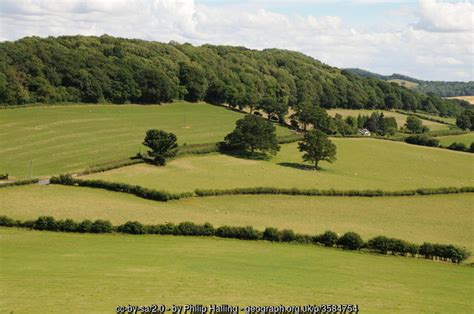 View To Box Wood Philip Halling Cc By Sa 2 0 Geograph Britain And