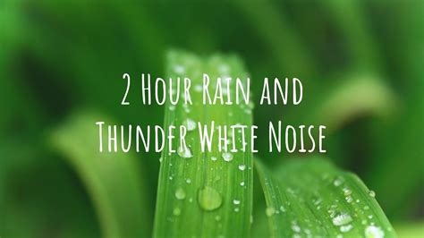 Hour Rain And Thunder White Noise For Sleeping White Noise For