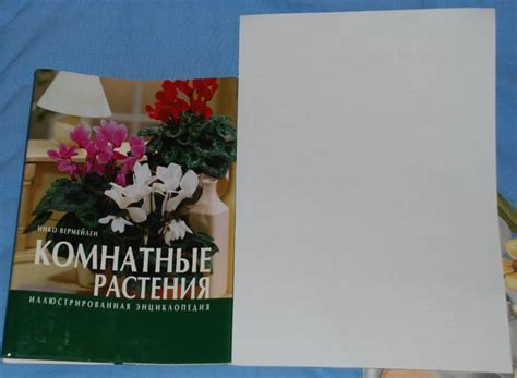 Книга: Комнатные растения - Нико Вермейлен. Купить книгу, читать ...