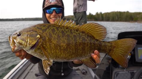 Chasing Giant Smallmouth In Ultra Clear Water Pb Broken Twice Youtube