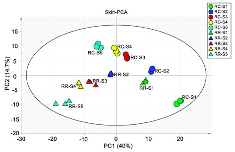 Principal Component Analysis Pca Of The Metabolites Annotated In Download Scientific Diagram