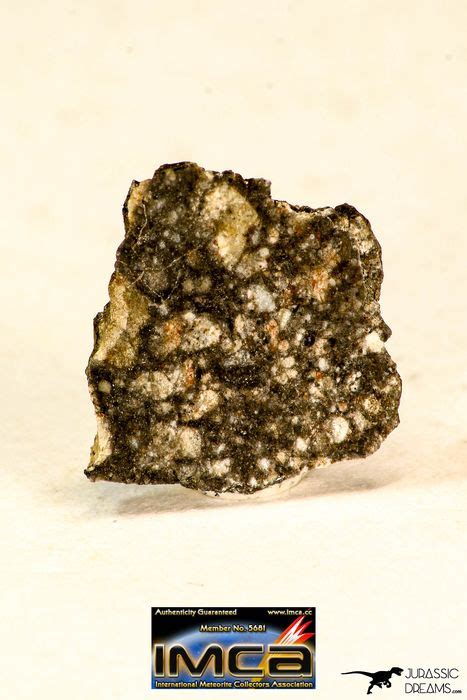 Lunar Meteorite Nwa 12870 Feldspathic Breccia Thin Catawiki