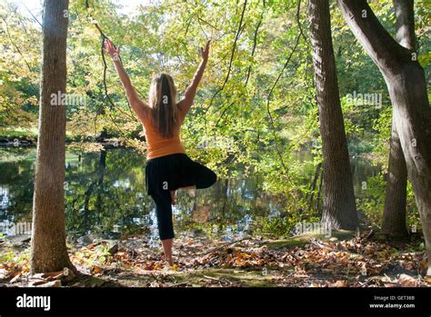 Tree Pose in the Woods Stock Photo - Alamy