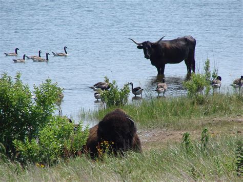 Wichita Mountains Wildlife Refuge | Oklahoma Dreams