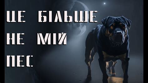 ЦЕ БІЛЬШЕ НЕ МОЯ СОБАКА. МОТОРОШНІ ІСТОРІЇ УКРАЇНСЬКОЮ - YouTube