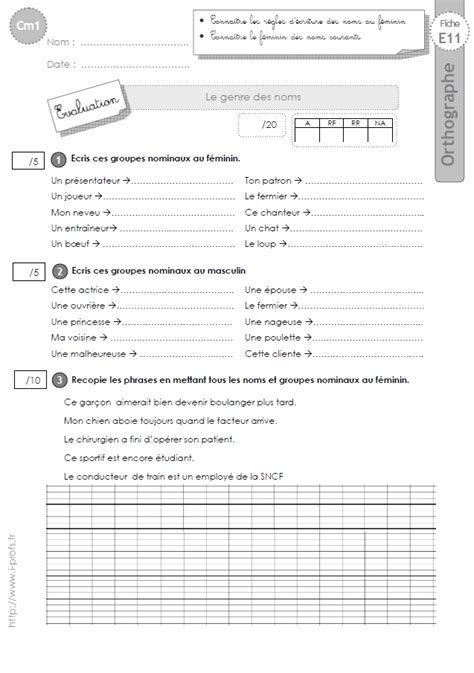 Exercice Genre Et Nombre Cm2