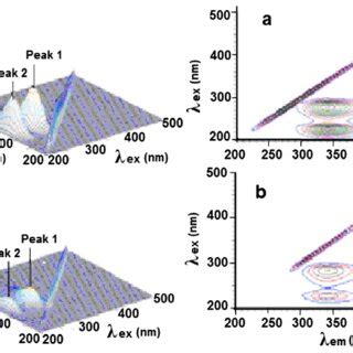 Three Dimensional Fluorescence Spectra Left And Contour Spectra