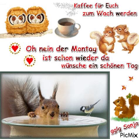 Schon Wieder Montag Bilder Montag Gbpicshd