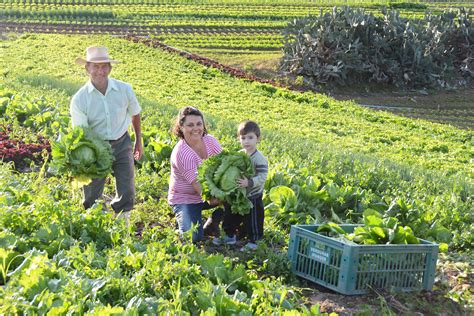 Sorocaba Abre Espa O Para O Iii Semin Rio De Agricultura Ag Ncia