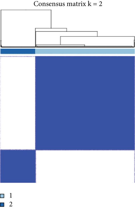 Identification Of Cuproptosis Associated 18 Lncrnas With Prognostic Download Scientific Diagram