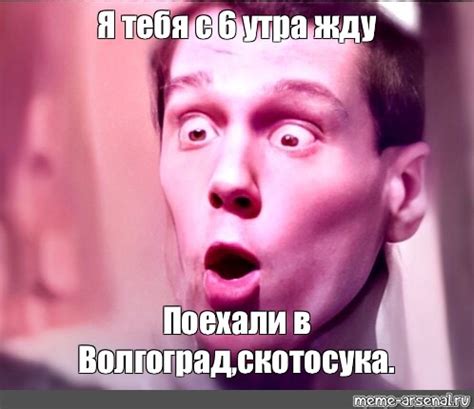 Мем: "Я тебя с 6 утра жду Поехали в Волгоград,скотосука." - Все шаблоны ...