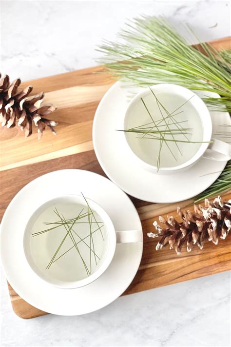 How To Make Pine Needle Tea Foraging Tips Benefits Daily Tea Time