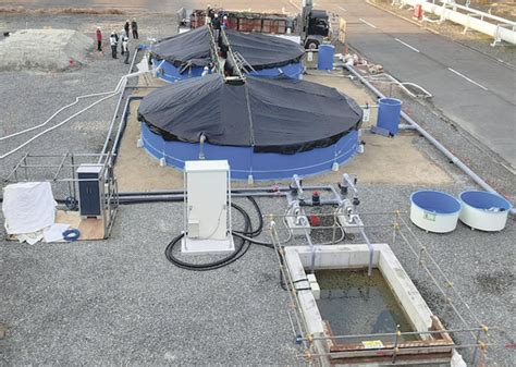 東邦ガスがトラウトサーモン陸上養殖日本水産協力し愛知で実証実験 みなと新聞 電子版