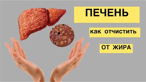 Секреты восстановления печени: экспертные рекомендации - YouTube
