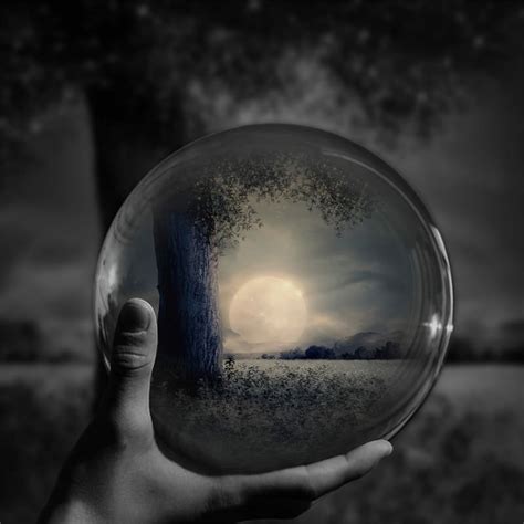 Clear Glass Ball Ball Moon Sphere Forest Black And White Human