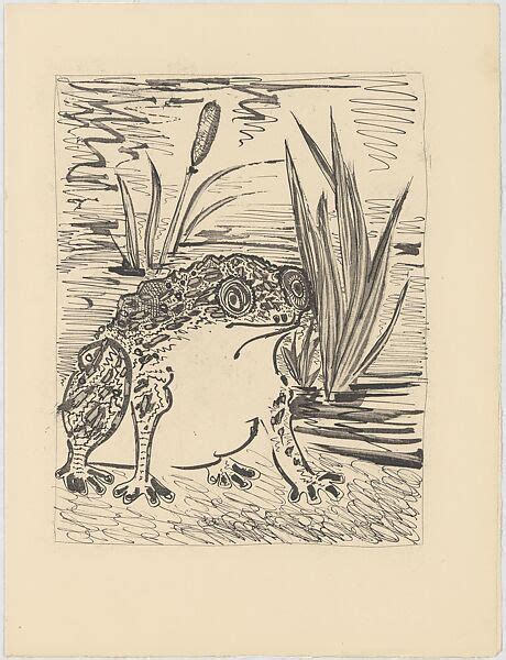 Pablo Picasso Toad From Picasso Original Etchings For The Texts Of Buffon The Metropolitan