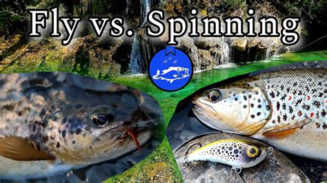 Pesca Alla Trota Con Esche Artificiali Pesca A Mosca Vs Spinning Con