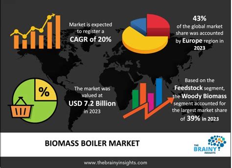 Biomass Boiler Market Size Trends And Forecast To 2033 The Brainy