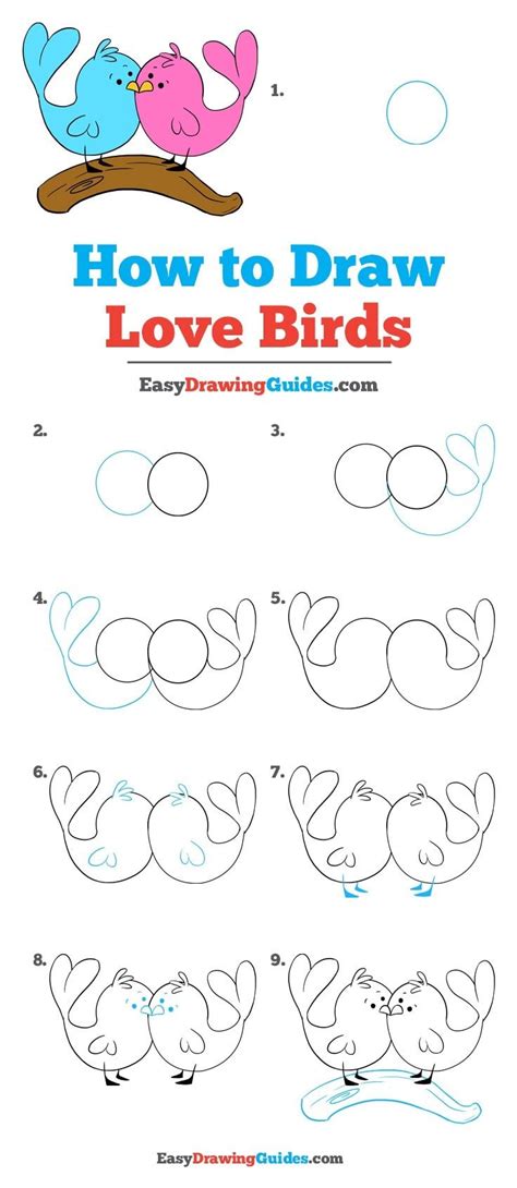 How to Draw Love Birds - Really Easy Drawing Tutorial