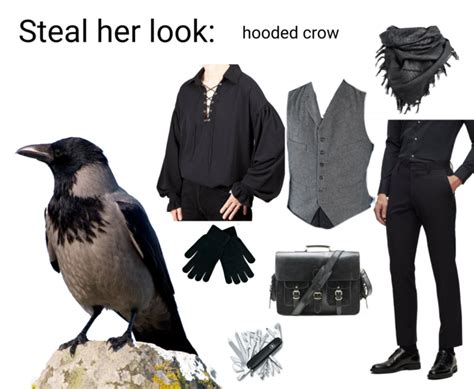 Hooded Crow Steal Her Look Steal His Look Know Your Meme