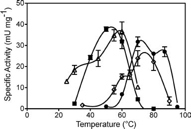 MerA Expression In Hydrogenobaculum Sp Y04AAS1 And Hydrogeni