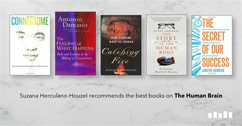 The Best Books On The Human Brain Five Books Expert Recommendations