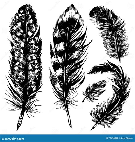 Hand Drawn Ink Feathers Set Stock Vector Illustration Of Black