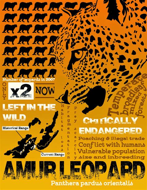 Alexis Fenn Art Endangered Species Campaign Poster Amur Leopard