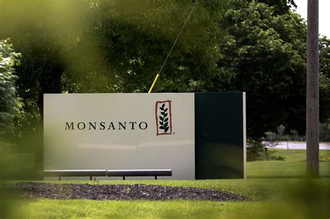 bayer  acquire monsanto    billion deal st louis public radio