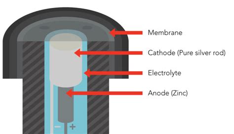 How Does Dissolved Oxygen Affect Water Quality? | Atlas Scientific